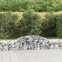 Prolenta Maison Exclusive - Paniers à gabions arqués 17 pcs 300x50x40/60 cm fer galvanisé