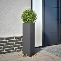 Prolenta Maison Exclusive - Bac à plantes anthracite triangulaire 30x26x75 cm en acier