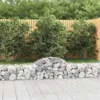 Prolenta Maison Exclusive - Paniers à gabions arqués 12 pcs 200x30x40/60 cm Fer galvanisé