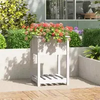 Prolenta Maison Exclusive - Bac à plantes avec tablette Blanc 54x54x81 cm Bois massif Pin