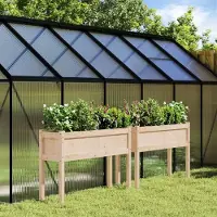 Prolenta Maison Exclusive - 2 bacs à plantes avec pieds en bois massif de pin