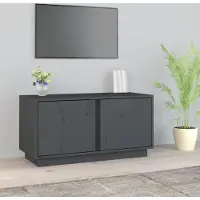 Prolenta Maison Exclusive - Meuble TV gris 80x35x40,5 cm en pin massif