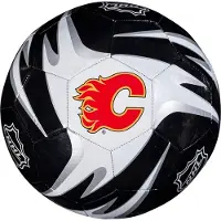 Franklin Ballon De Football Nhl Senators Touch
