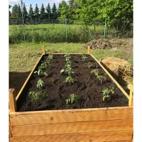 Sonstiges Bac à plantes surélevé 100x50x40cm Bac à légumes Bac à herbes 200l Bac à plantes