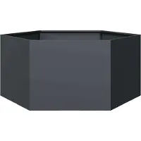 Prolenta Maison Exclusive - Bac à plantes anthracite hexagonal 104x90x45 en acier