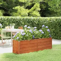 Prolenta Maison Exclusive - Potager surélevé Rostig 160 x 40 x 45 cm en acier Corten
