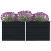 Prolenta Maison Exclusive - Potager surélevé 160 x 80 x 45 cm Acier galvanisé Anthracite
