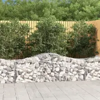 Prolenta Maison Exclusive - Paniers à gabions arqués 15 pcs 200x50x60/80 cm fer galvanisé
