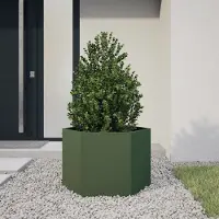 Prolenta Maison Exclusive - Bac à plantes vert olive hexagonal 69x60x45 en acier