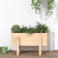 Prolenta Maison Exclusive - Bac à plantes 62x30x38 cm en pin massif