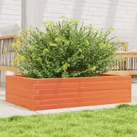 Prolenta Maison Exclusive - Bac à plantes brun ciré 90x60x23 cm Bois massif Pin