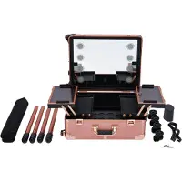 StarTech.com Valise cosmétique professionnelle - Trolley à roulettes - Éclairage LED - Grande capacité - Compartiments de rangement - Alliage d'aluminium - Or rose