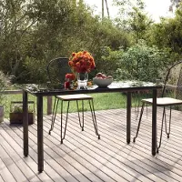 Prolenta Maison Exclusive - Table de jardin 200 x 100 x 74 cm, acier et verre trempé