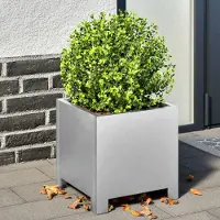 Prolenta Maison Exclusive - Bacs à plantes 2 pièces 30x30x30 cm Acier galvanisé