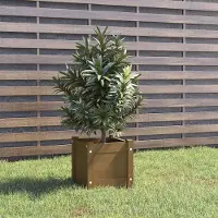 Prolenta Maison Exclusive - Bac à plantes brun miel 31x31x31 cm Bois massif Pin