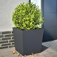 Prolenta Maison Exclusive - Bacs à plantes 2 pièces anthracite 50x50x50 acier