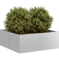 Prolenta Maison Exclusive - Bac à plantes 80x80x30 cm Acier galvanisé