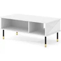Homlando Table basse WOODY WHITE 110 x 55 cm BLANC MAT - façade en MDF rainuré - table basse sur pieds