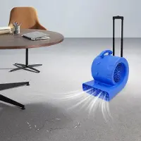 StarTech.com Sèche-tapis et sèche-sol - Souffleur industriel - 750 W - 3 vitesses - Angle réglable 0°/45°/90° - Minuterie 20-120 min - Prise UE 220 V 50/60 Hz - Moteur entièrement en cuivre