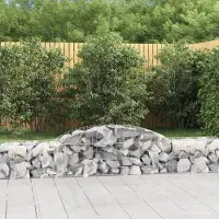 Prolenta Maison Exclusive - Paniers à gabions arqués 10 pcs 300x50x40/60 cm fer galvanisé
