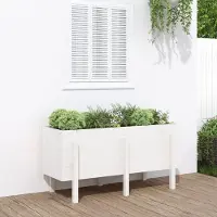 Prolenta Maison Exclusive - Potager surélevé blanc 121x50x57 cm Bois massif Pin
