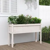 Prolenta Maison Exclusive - Bac à plantes avec pieds Blanc 110x31x70 cm Bois massif Pin