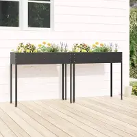 Prolenta Maison Exclusive - Jardinières 2 pcs Anthracite Acier galvanisé