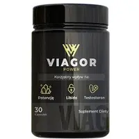NGS Viagor Power - Soutien De La Vitalité Et De La Performance Masculine (30 capsules)