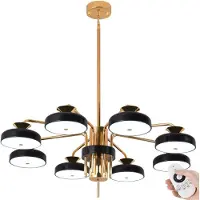 Eurotondisplay Plafonnier LED XW816-8H avec télécommande Couleur de lumière/luminosité réglables Abat-jour acrylique noir/or Cadre métallique laqué