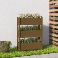 Prolenta Maison Exclusive - Bac à plantes brun miel 77x25x104,5 cm Bois massif Pin