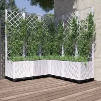 Prolenta Maison Exclusive - Jardinière avec treillis Blanc 120x120x136 cm PP