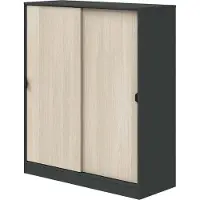 Dmora Resana - Armoire 2 Portes, 100x119h cm Noir Anthracite, 4 Étagères