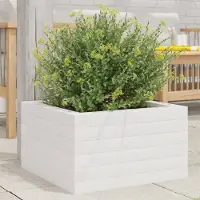 Prolenta Maison Exclusive - Bac à plantes blanc 40x40x23 cm Bois massif Pin