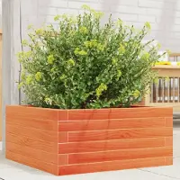 Prolenta Maison Exclusive - Bac à plantes brun ciré 50x50x23 cm Bois massif Pin