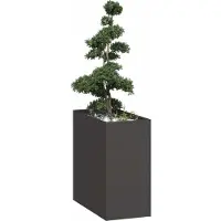 Prolenta Maison Exclusive - Bac à plantes noir 40x80x80 cm en acier