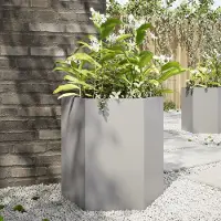 Prolenta Maison Exclusive - Bac à plantes hexagonal 46x40x45 en acier inoxydable
