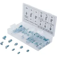 Bgs 8065-1 Assortiment de graisseurs, 70 pcs. métrique / pouce