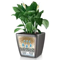 Lechuza Pot Quadro Premium Ls 35 - Kit Complet, Noir Brillant 35 Cm