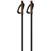 One Way Storm 6 Mag Dark Poles Argenté 160 cm