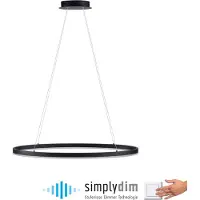 Paul Neuhaus Suspension LED 2392-13 anthracite, 38 W, 5150 lm, 3000 K