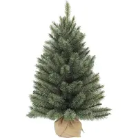 Triumph tree Arbre de Noël artificiel Forest frosted - 61x61x90 cm - Aiguille dure - Neige, Bleu