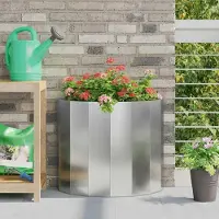 Prolenta Maison Exclusive - Bac à plantes argenté 60 x 30 x 50 cm Acier galvanisé