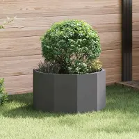 Prolenta Maison Exclusive - Bac à plantes noir 60 x 60 x 35 cm en acier