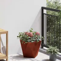 Prolenta Maison Exclusive - Bac à plantes rouillé 30 x 30 x 30 cm Acier résistant aux intempéries