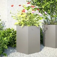 Prolenta Maison Exclusive - Jardinières 2 pièces hexagonales 46x40x45 cm en acier inoxydable