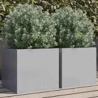 Prolenta Maison Exclusive - 2 bacs à plantes argentés 32 x 30 x 29 cm Acier galvanisé