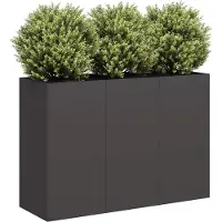 Prolenta Maison Exclusive - Bac à plantes noir 120x40x80 cm Acier laminé à froid