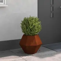 Prolenta Maison Exclusive - Bac à plantes rouillé 50 x 50 x 40 cm Acier résistant aux intempéries
