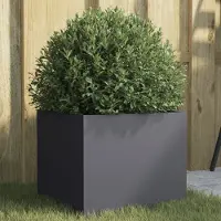 Prolenta Maison Exclusive - Bac à plantes anthracite 32x30x29 cm en acier
