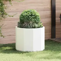 Prolenta Maison Exclusive - Bac à plantes blanc 60 x 60 x 50 cm en acier